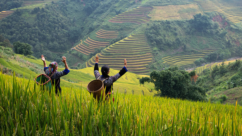 Tour du lịch Sapa 3N2Đ: Cát Cát - Hàm Rồng - Fansipan